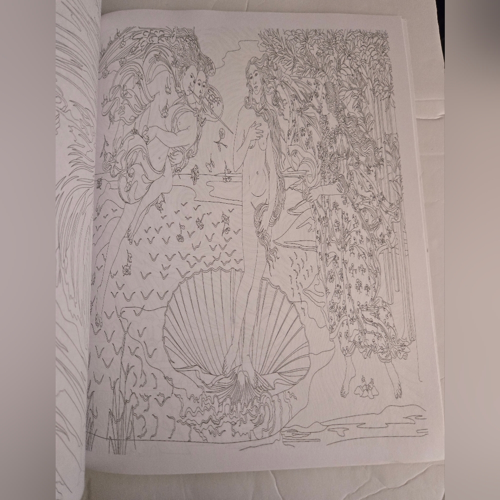 Bundle/3 Adult Coloring Books - Picture 11 of 16